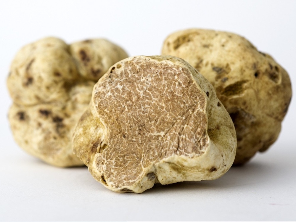 Truffe blanche d'Alba